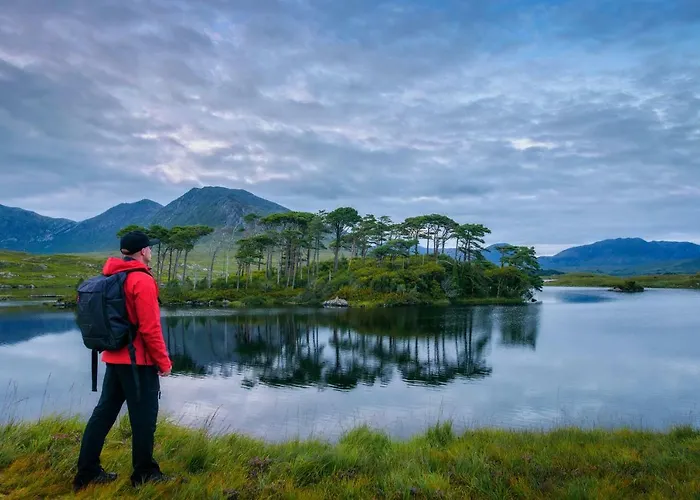 Vakantiehuis 139 - *